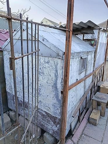 tutuquşu qiymetleri: Quwdarı satmışam yuvanıda satıram qiymet sondu mownuda yiğlma damdı — 3