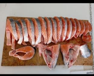 betta balığı: Hər növ dəniz balıqları mövcuddur balıq yağı qırmızı ikra qara ikra — 8