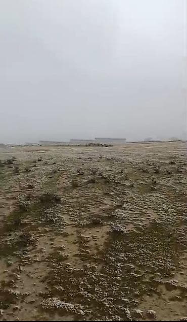 goranboy torpaq: Tecili satilir Bineqediden Novxaniya geden yolda 1 hektar torpaq — 2