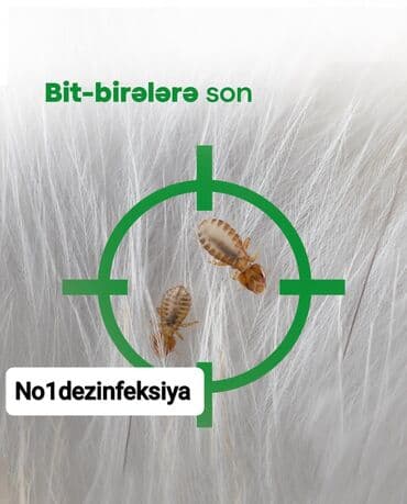 чистка мебели на дому: Дезинфекция, дезинсекция | Клопы, Блохи, Тараканы | Квартиры, Кафе, магазины, Дворы — 7