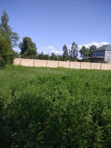 torpağ sahəsi: 20 sot, Tikinti, Mülkiyyətçi, Kupça (Çıxarış) — 4