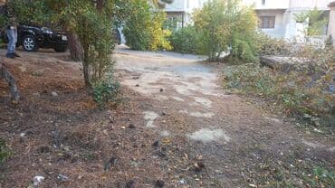 elite: 4 sot, Tikinti, Mülkiyyətçi, Bələdiyyə — 3