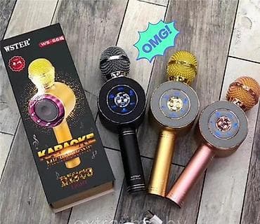 WSTER WS-66E karaoke mikrofonu - Portativ, simsiz karaoke mikrofonu –