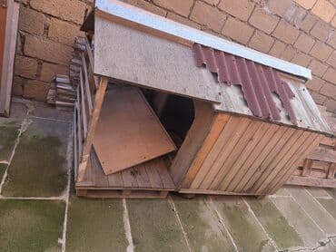 Gəmiricilər: Taxta it evi / heyvan evi - Material: tamamilə taxtadan yığılmış — 4