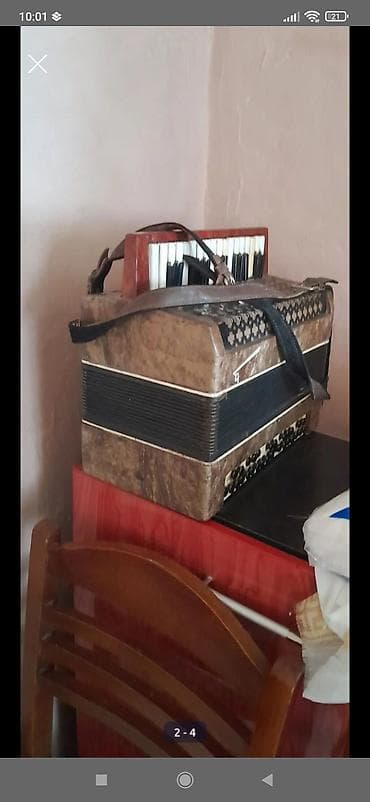 Akustik Akkordeon lalafo.az -da Akustik Akkordeon