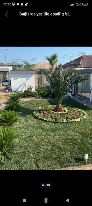 toxum qiymetleri: Villalarda abadliq isi torf satsi gubreler dermanlar torfu 300den cox — 9