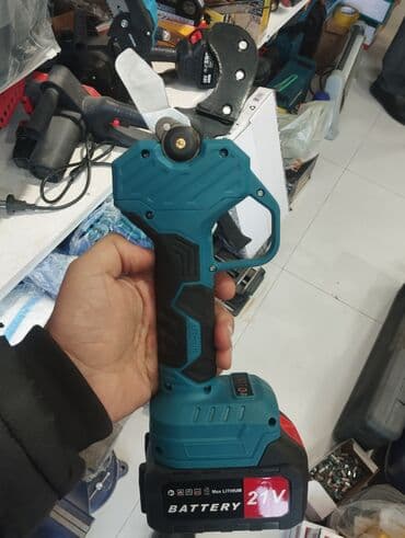 Другие инструменты: Новый Садовые ножницы, Сталь — 2