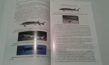 сколько стоит мотоцикл: Müxtəlif kitablar satılır. Biri 40 manat. "Nərəkimilər - dinozavrların — 3