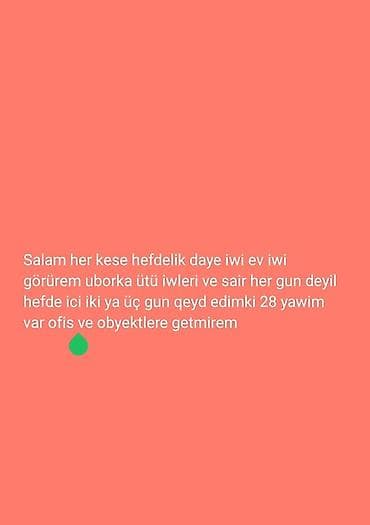 Xadimələr: Xidmət: Həftəiçi təmizlik və ütü xidmətləri - Ofis və obyektlər üçün — 2