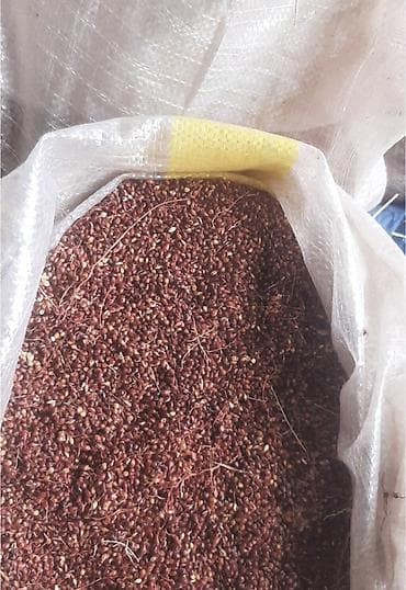 qedimi xalca satiram: Salam. Topdan satışdır. Ünvana çatdırılma var. Bütün rayonlarına — 2