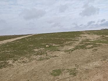 8 sot, Kənd təsərrüfatı, Kupça (Çıxarış)