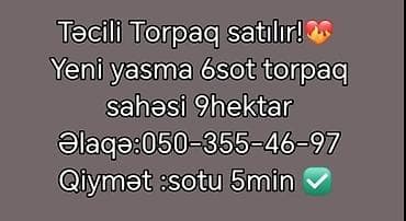 şeki: 6 sot — 1