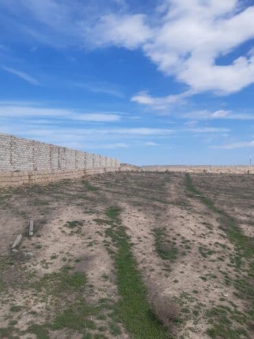 baku electronics xacmaz: 80 sot, Kənd təsərrüfatı, Maklerlər narahat etməsin, Kupça (Çıxarış) — 2