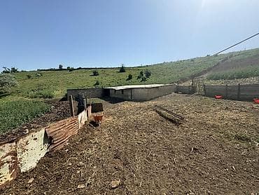 ucuz kiraye ev: 300 sot, Biznes üçün, Barter mümkündür, Kupça (Çıxarış) — 1