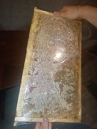 balı: Məhsul: Dag qara tikan balı - Şüşə bankalarda süzülmüş bal: iri — 4