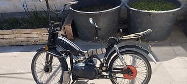 zigzag moped: - JACKAL 200 sm3, 2024 il, 666 km — 4