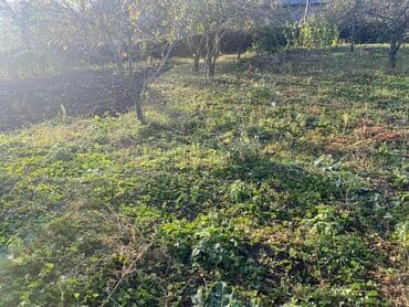 qubada torpaq satilir 2020: 10 sot, Mülkiyyətçi, Kupça (Çıxarış) — 5