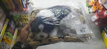 qus qefesi satilir: Salam eziz musderilermiz yeni gelen masin siti ucun itlermiz geldi — 3