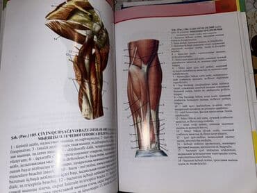 atlas koynekler: Məhsul: “İnsan Anatomiyası Atlası” – 3-cü nəşr - Müəlliflər: V.B — 6