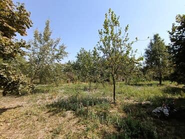 gence şeheri: 22 sot, Kənd təsərrüfatı, Mülkiyyətçi, Kupça (Çıxarış) — 3