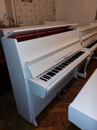 yamaha piano qiymeti: Pianino PETROF Cexiya stehsalı. İdeal vəziyyədə. Cadrılma və köklənmə — 3