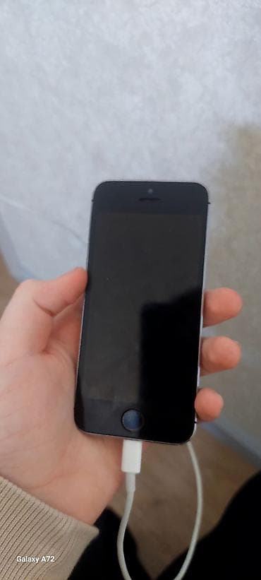 apple iphone 5s: IPhone 5s, 16 GB, Space Gray, Barmaq izi — 1