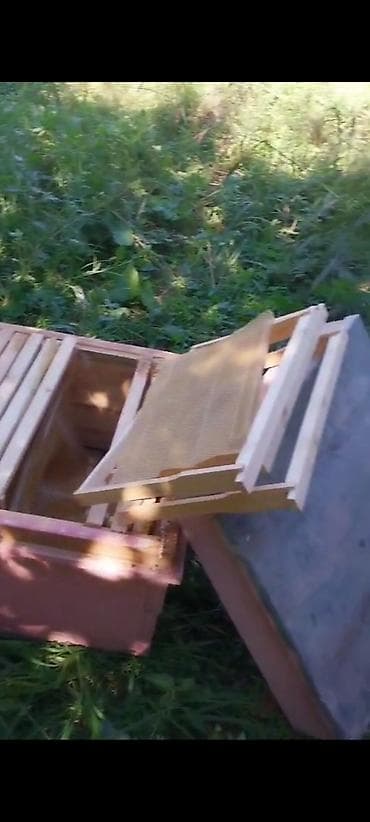 Mal-qara: Arı pətəyi (taxta korpuslu) - Material: qalın taxta lövhələrdən — 7