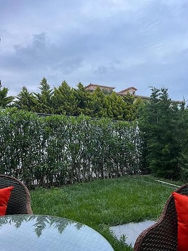 ucuz ev: Satılır 1 otaqlı yeni tikili 55 m², Sea Breeze q. Kateqoriya Yeni — 8