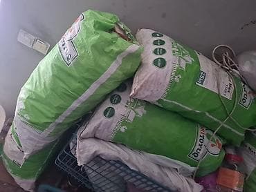 ev heyvanı: 4kise qurumus corek kisede 12kq corek var dogranmis kifsiz temiz — 1