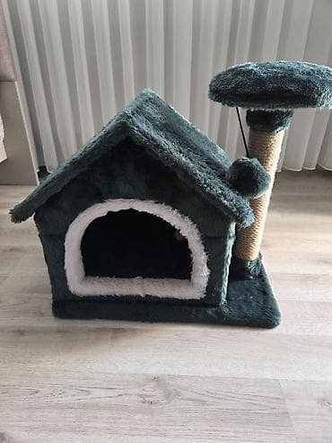 pişik şotlant: Çox səliqəli və rahat pişik evi satılır. Pişiyim üçün almışdım, amma — 3