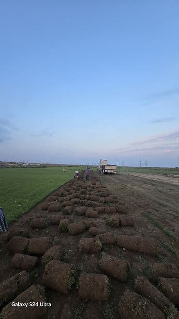 soxulcan gübrəsi: Təbii qazon rulonları landşaft dizaynı üçün əla seçimdir. Bu qazon — 4