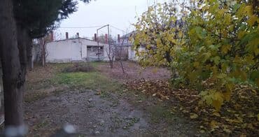 10 sot, Biznes üçün, Mülkiyyətçi, Kupça (Çıxarış)