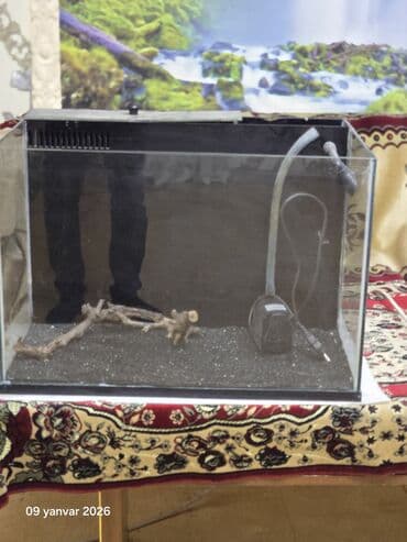 Salam samp.sistemi ile Akvaryum satilir quruntu ve sanp matoruda var