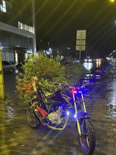 Alfa Romeo: Tufan - S150, 150 sm3, 2022 il — 5