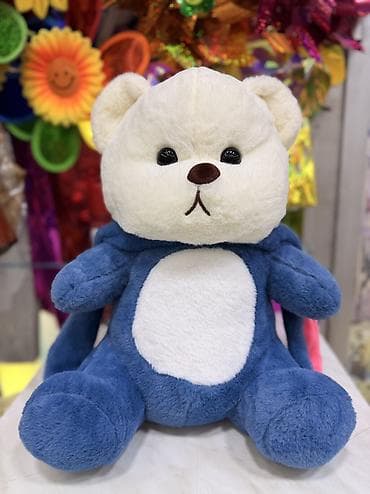 sürücülük kitabı 2023: 📍Mağazamıza yeni gələn sevimli qapşonkalı mişkalar 🥰Çox şirin yumuşaq — 2