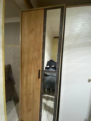 dolablar 2ci əl: 2 qapılı, Güzgülü, Boz, Taxta, Açılan, Düz dolab — 2