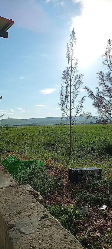 sumqayitda evlerin satisi: Sumqayıt, 2 otaqlı, Köhnə tikili, 45 kv. m — 1