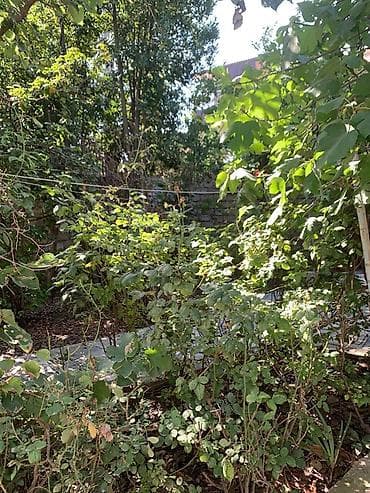 yeni ramanada ev: Həyətyanı sahəsi olan kiçik ev - Həyətdə şaquli dayaqlı — 9