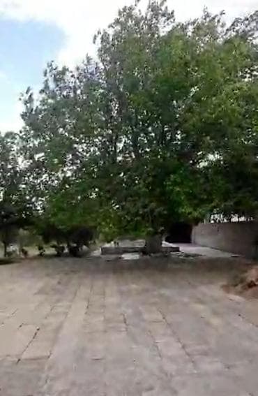 bilgəh barter: Salam. Pirşağının mərkəzində, dənizə yaxın bir məsafədə köhnə bağ — 1