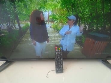 taube tv pult: Пульт — 1