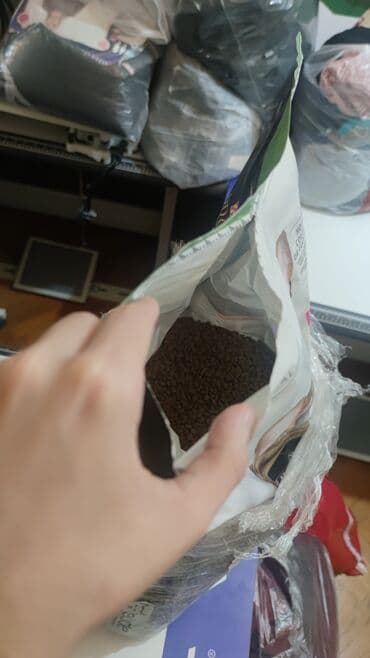 ucuz pisikler: Məhsul: Pişik yemi dəsti Proplan hinduskali qisirlasdirirmiş — 3