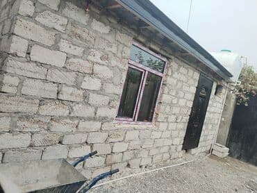 bine sovxoz: Bine bolluqda yerleşir. Ev sahibi ile eyni heyatda. Temir — 1