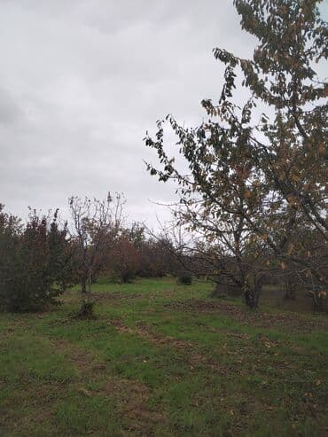 продажа 3 комнатных квартир в баку: Kənd təsərrüfatı, Su — 9