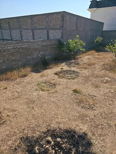 8 sot, Mülkiyyətçi, Kupça (Çıxarış) — 6