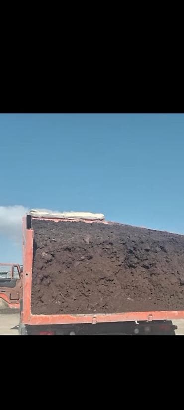 roza guller: Salam aleykum Qara torpağ meşə torpağı şamaxı ismayilli ərazılərindən — 2