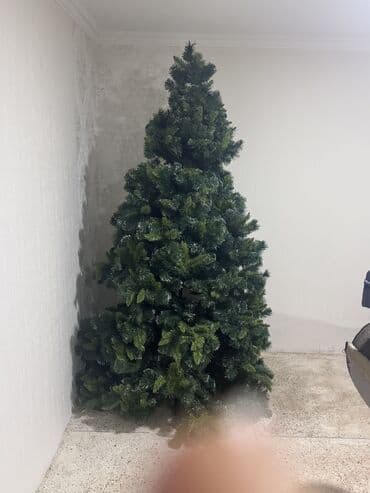 qarabaga aid resmler: 2.10 sm — 3