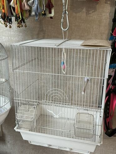 quş qəfəsləri: Quş qəfəsləri – dekorativ və funksional modellər - Formalar: dairəvi — 3