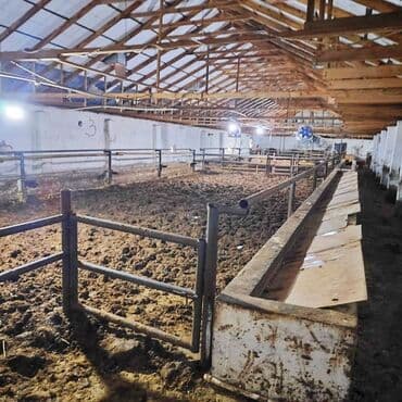 vasitəcisiz birbaşa sahibindən mənzil kirayələmək: Kənd təsərrüfatı, Mülkiyyətçi, Bələdiyyə, Kupça (Çıxarış) — 17