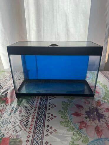 heyvanlar cütləşməsi: Akvaryum dəsti 1 akvaryum tezedi qalan herwey iwlenmiwdi ekseryeti az — 12