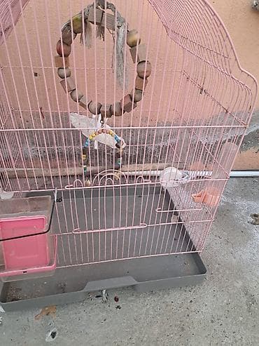 Akvarium aksessuar və ləvazimatları: Qəfəs və aksesuar dəsti – xırda ev quşları üçün - Ölçü: orta həcmli — 7